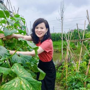 麦穗姑娘说农事 头像