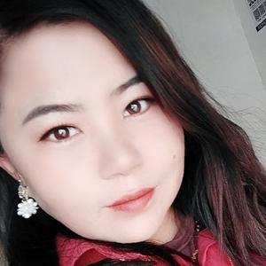 智慧自若柳叶zx