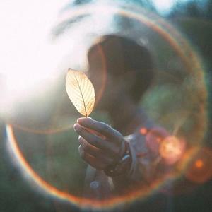 摄影师新向芽教学 头像