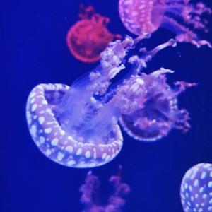 小小谈数码 头像