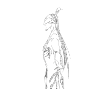 曲线·之巅 头像