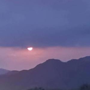 花花绿绿原生鱼 头像