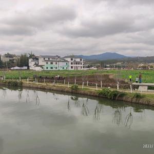 音阙诗听丶 头像