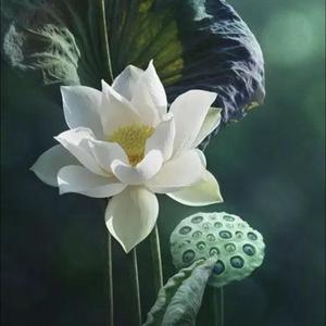 头条问答 和平精英为什么不出没有人机的排位模式 11个回答