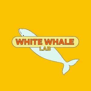 白鲸实验室 头像