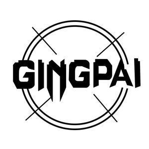 GINGPAI竞派头像