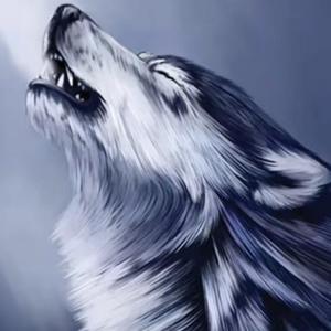 老李生活记录 头像