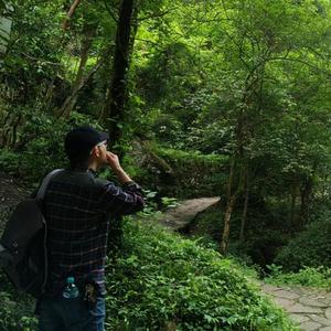 藏锋敛影 头像