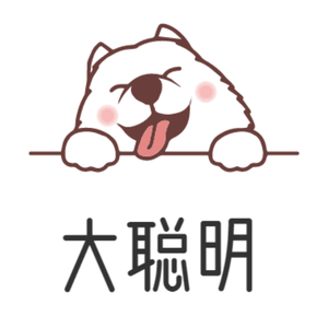 这是大聪明 头像