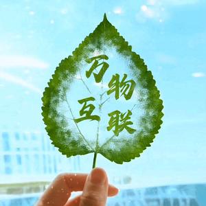 网工运维小江 头像