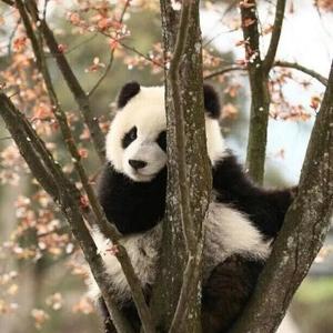 闲谈小怪 头像