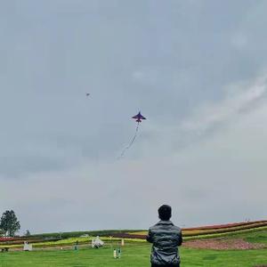 潇湘夜雨9961 头像