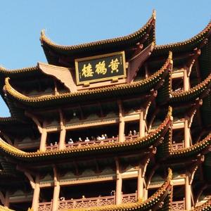 电脑小小咖 头像