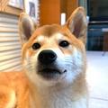 用户6624035074501 头像