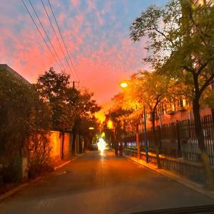 善良叶子Z 头像