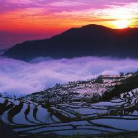 用户6896433528 头像