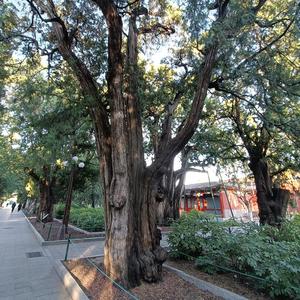 一如既往7u0m 头像