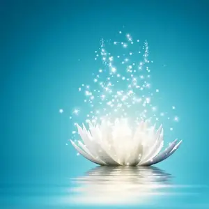 莲邦摆渡人