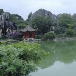 不服气的狼