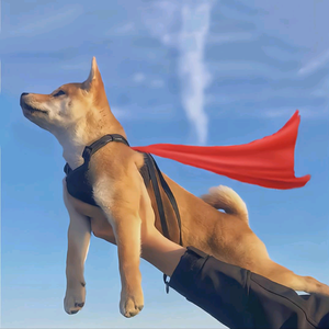 千里马百货 头像