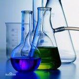 无双荷叶Tp 头像