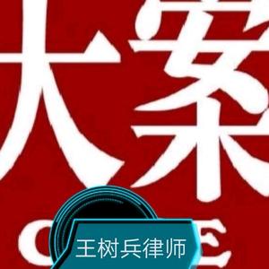 王树兵律师|上海头像