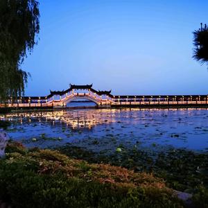 老是的影像 头像