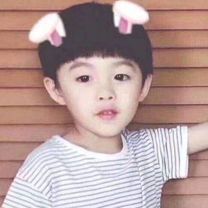 动漫情领域创作者 头像