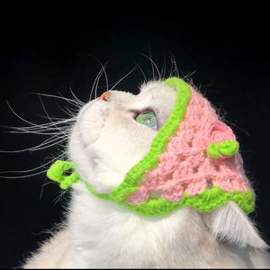 喵喵爱分享 头像