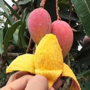 小二在深圳