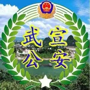 平安武宣头像