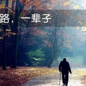 枯藤瘦马zfz