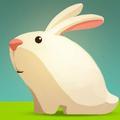 兔子盘点酱 头像