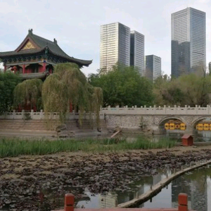 寻觅未来915686728382 头像