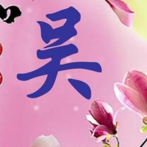 天若有情天易吴