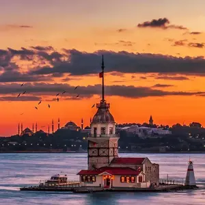 钻石的永恒 头像