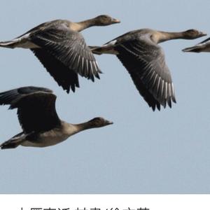 向往的生活840120815