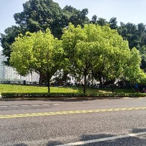 山水民情