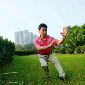 娱乐鹰城 头像