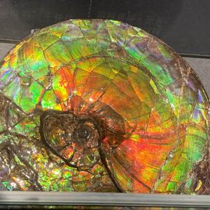 乖星珠宝控 头像