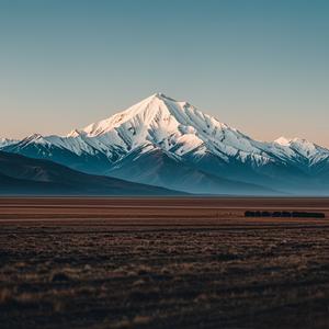 量化交易猿Enlai 头像