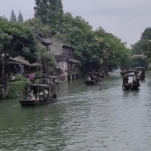 四川教育观察者 头像