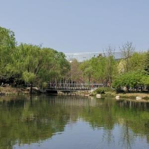 豫见天马行空 头像