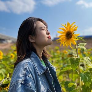 好虫CC