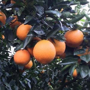 用户严命源 头像