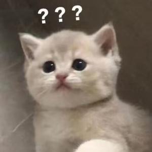 咸鱼大王赵二二 头像