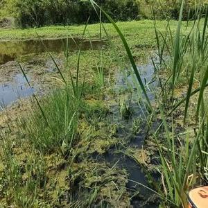 胡说八道的老白 头像