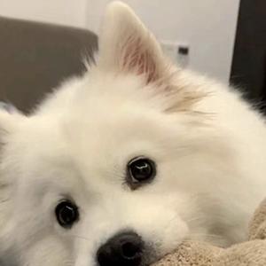 小杨科普kp 头像