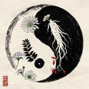 百岁小妙招 头像