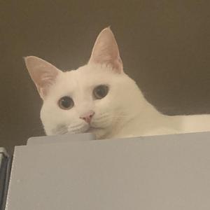 安安的枯燥生活 头像